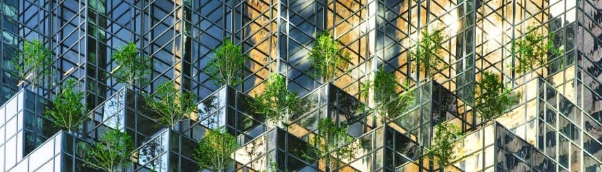 Spending Policy and Investment Strategy for Non-Profit Organizations