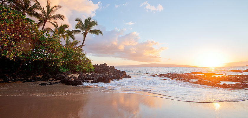 sunset on maui beach with sunset and palm trees