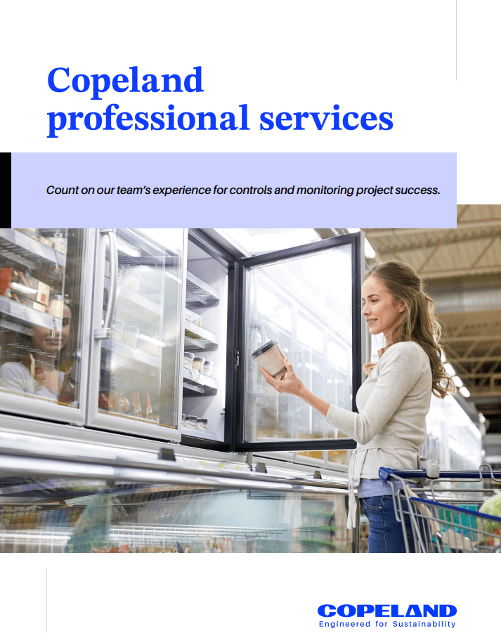 Copeland Professional Services