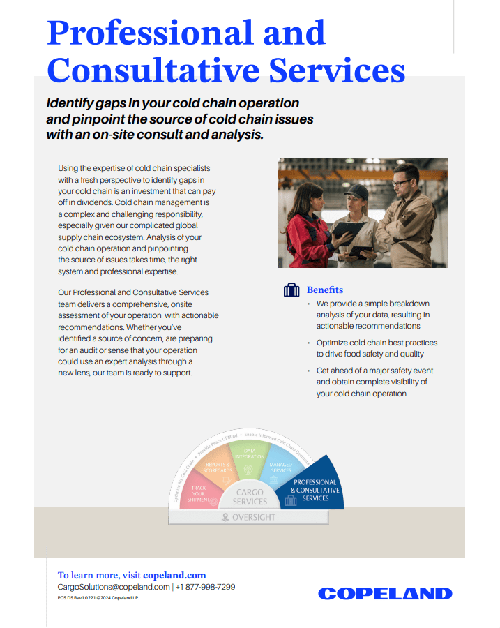Professional & Consultative Service
