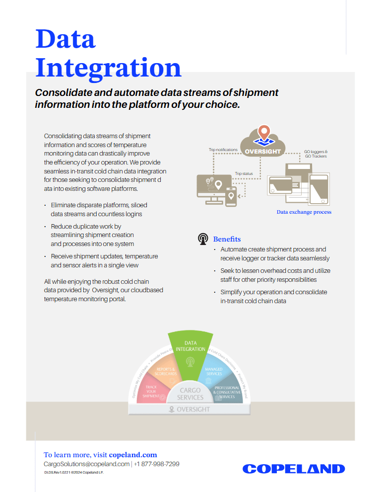 Integration Service