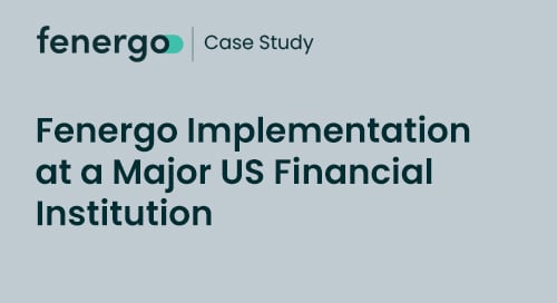 Fenergo Implementation at a Major US Financial Institution