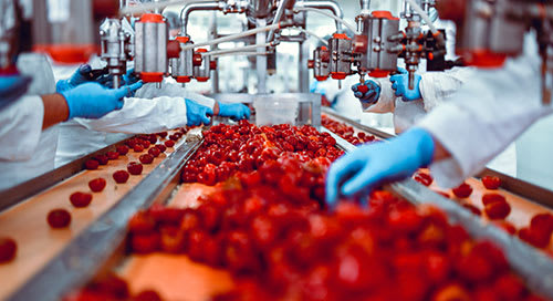 A recipe for reducing food waste in retail