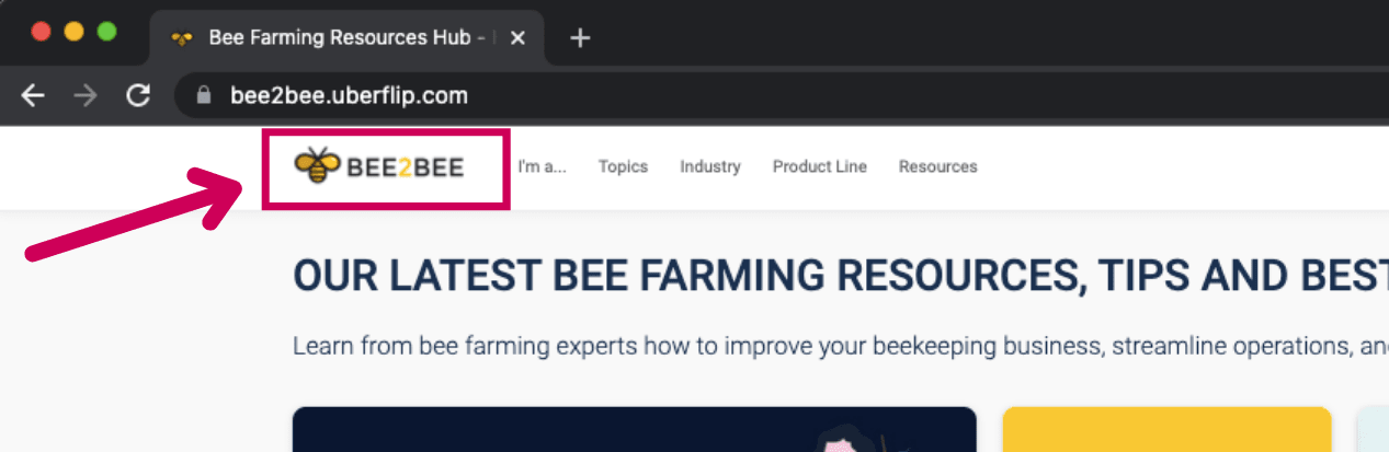 3.png