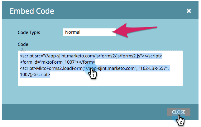 Embed_a_Form_on_Your_Website_-_Marketo_Docs_-_Product_Documentation.png