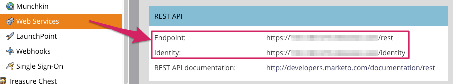 Marketo___Web_Services___Admin.png