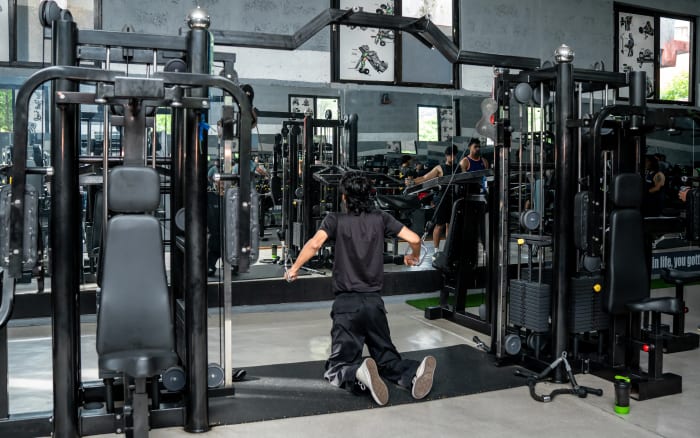 Training dedication