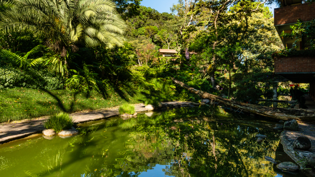 Naturaleza en el campus