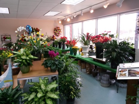 About Clemmons Florist Inc. - Hours & Delivery in ...