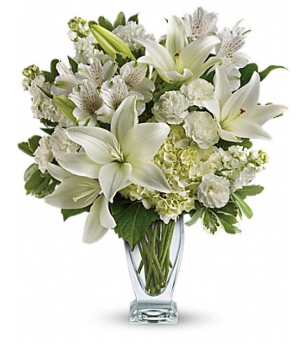 lovely white blooms