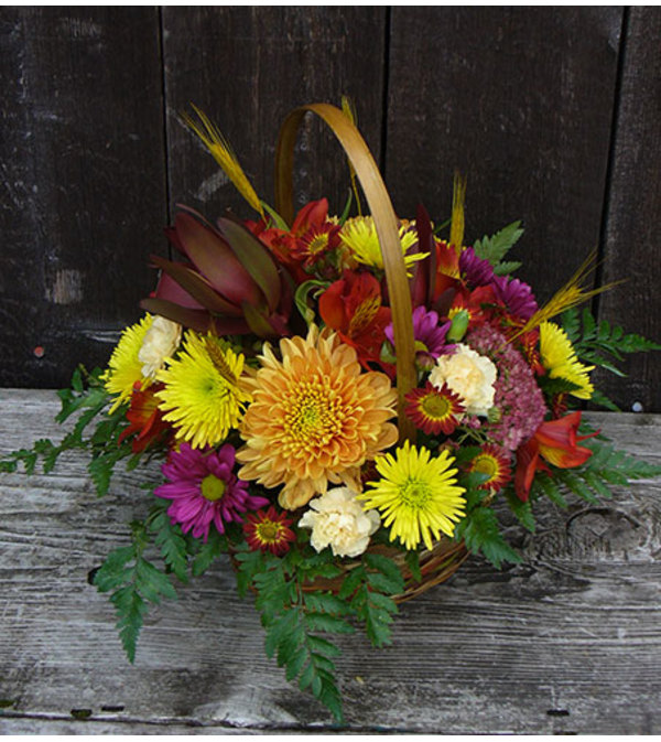 Autumn Joy