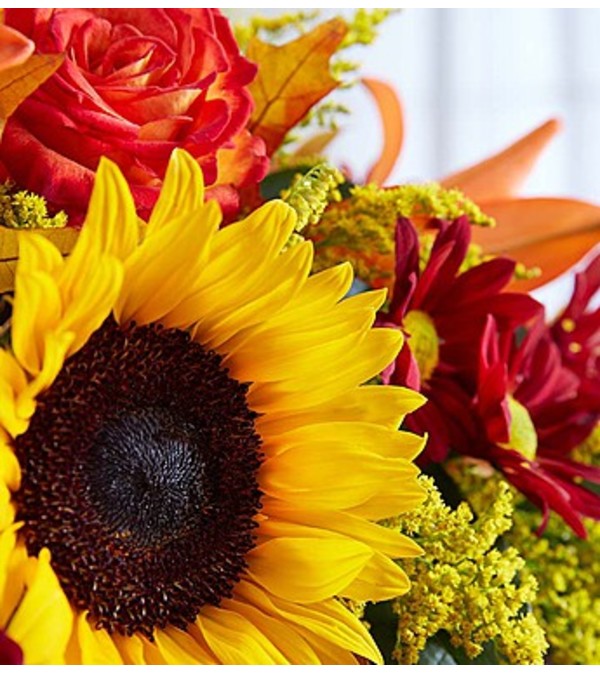Florist Choice Daily Deal Thanksgiving Centerpiece