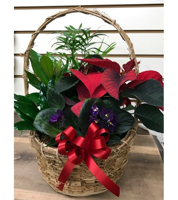 Christmas Thoughts of You