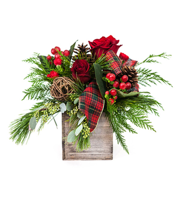 Berry Christmas