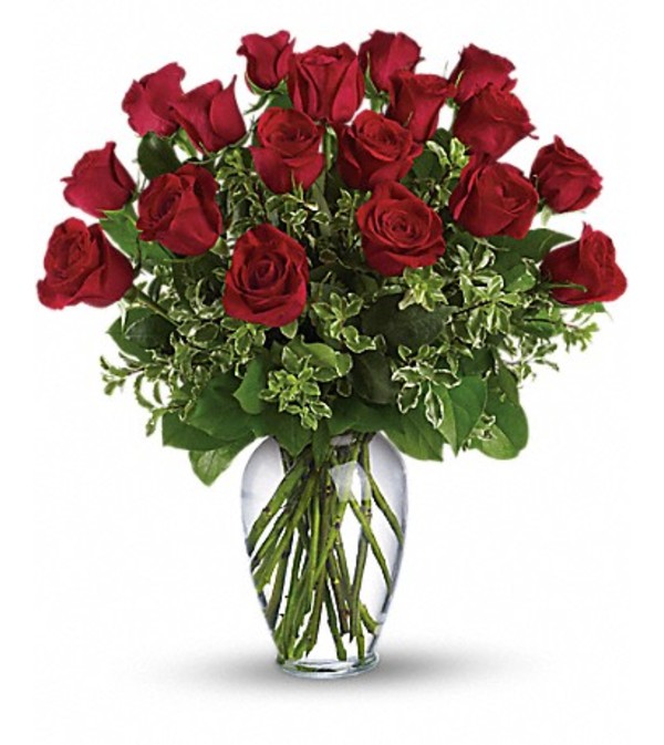 CLASSIC RED ROSES