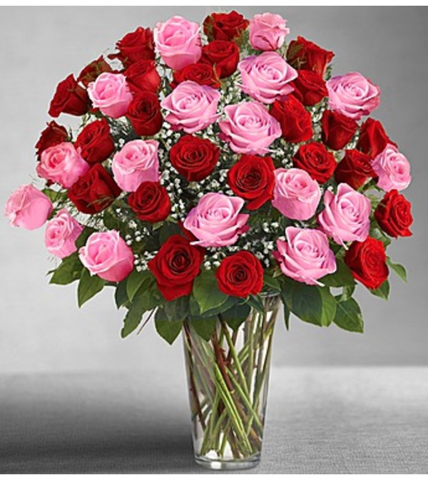 ULTIMATE ROSES