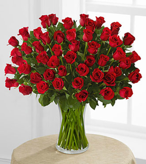 50 Red Roses in a Vase