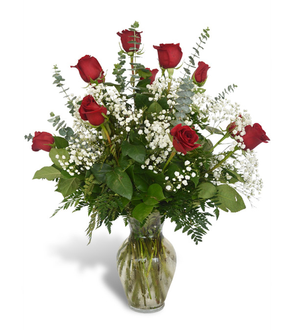 One Dozen Premium Roses in Red 2019