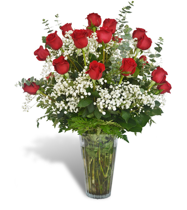 Two Dozen Premium Roses 2019