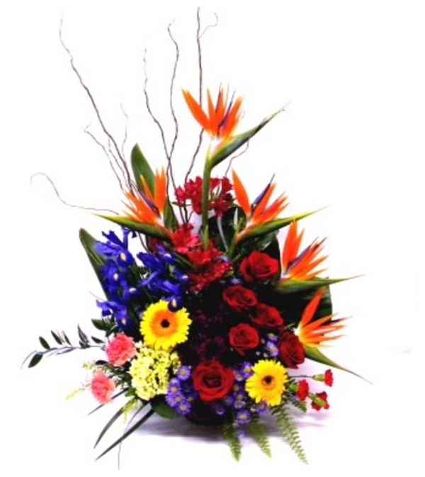 TROPICAL REMEMBRANCE