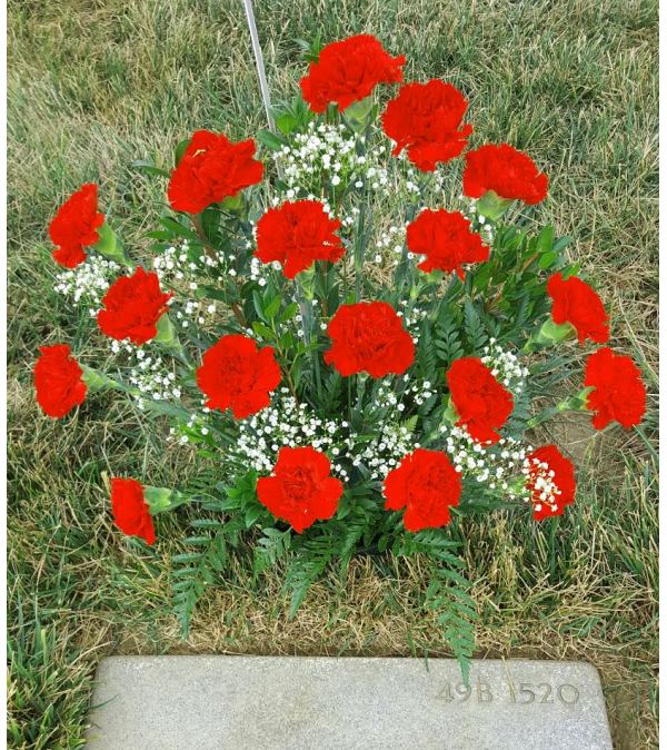 18 Ruby Carnations