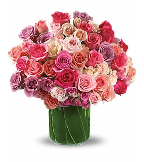 Rose Rapture