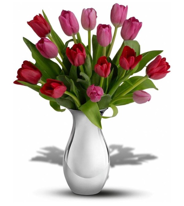 Multicolor Tulips