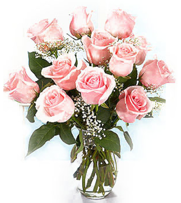 Classic Pink Roses