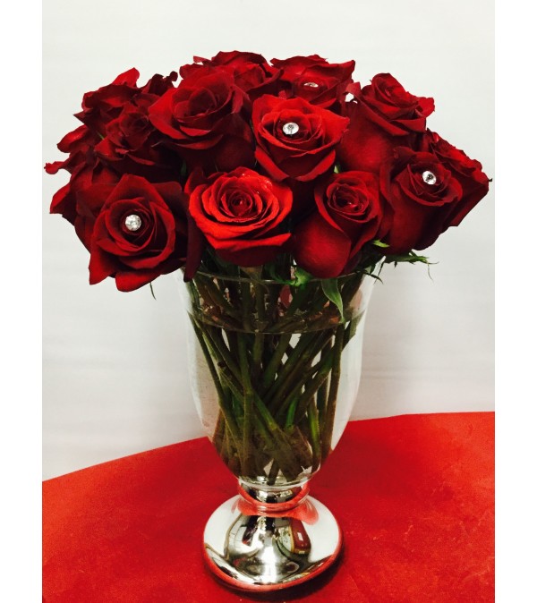 The Vera Rose