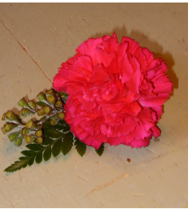 Pink Blush Groomsmen Boutonniere