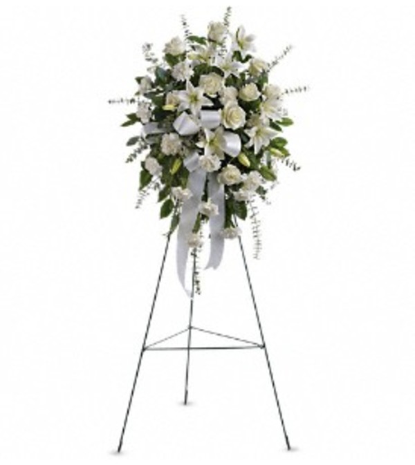 Sentiments of Serenity Spray