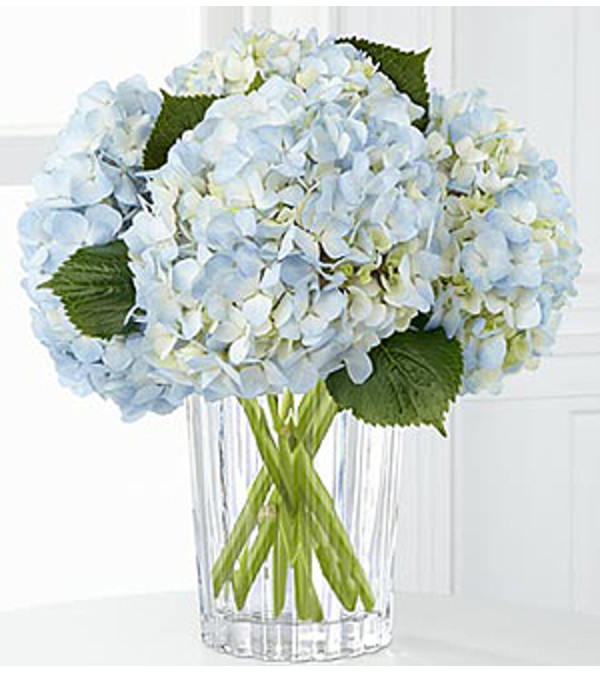 THE FTD JOYFUL INSPIRATIONS BOUQUET BY VERA WANG