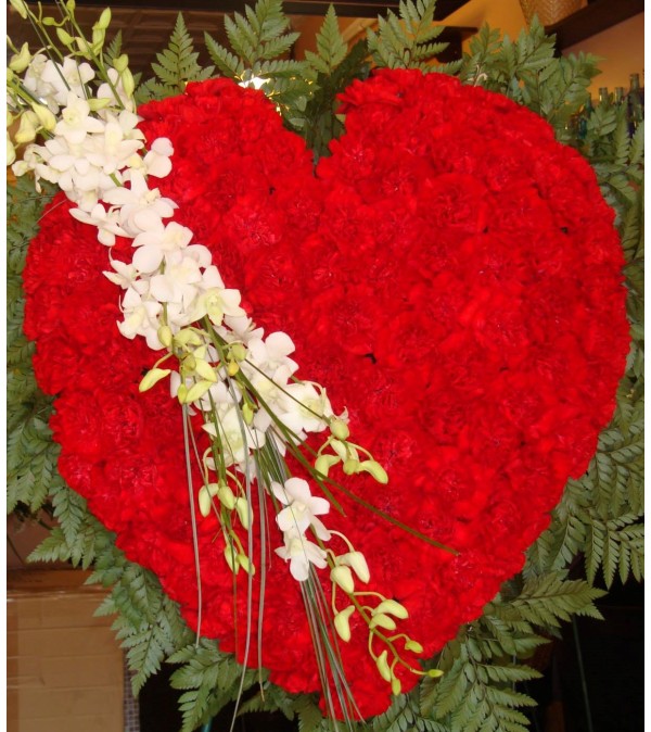 Solid Red Carnation Heart