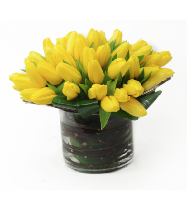 Tulip Fiesta