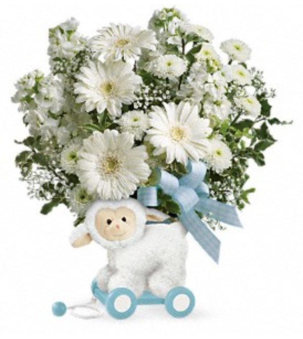 Teleflora's Sweet Little Lamb - Baby Blue