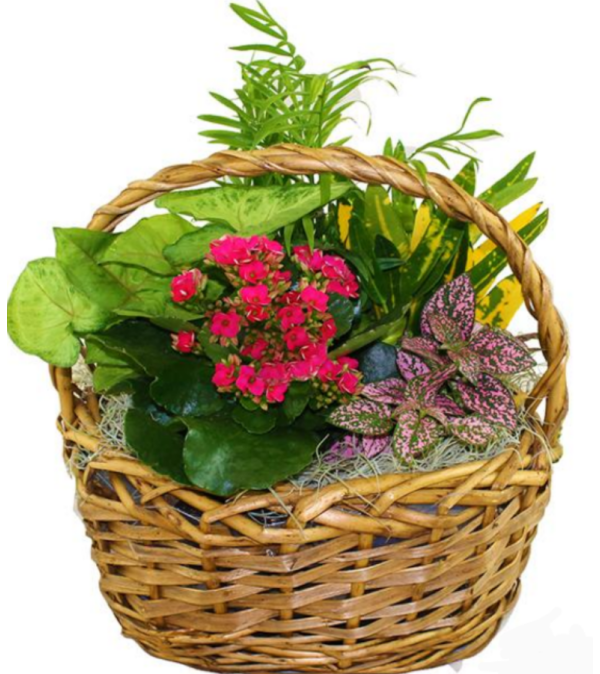 Garden Blooms Basket