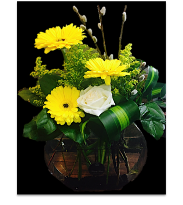 Spring In glass