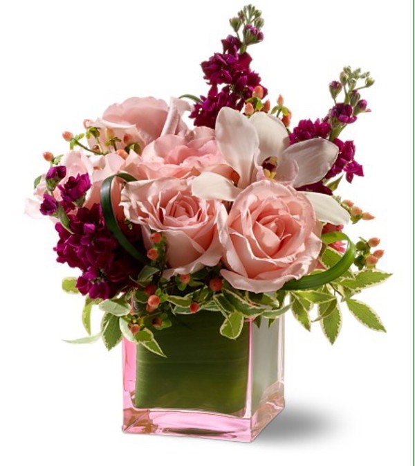 Pink Precious