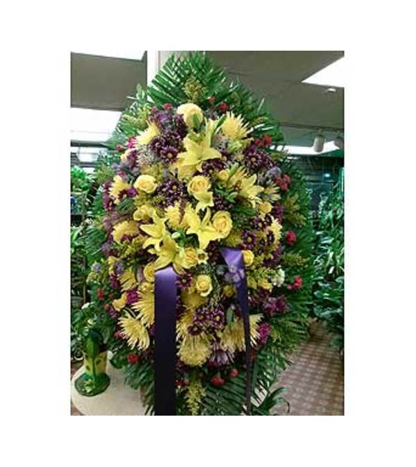 Yellow and Purple GF-SP10