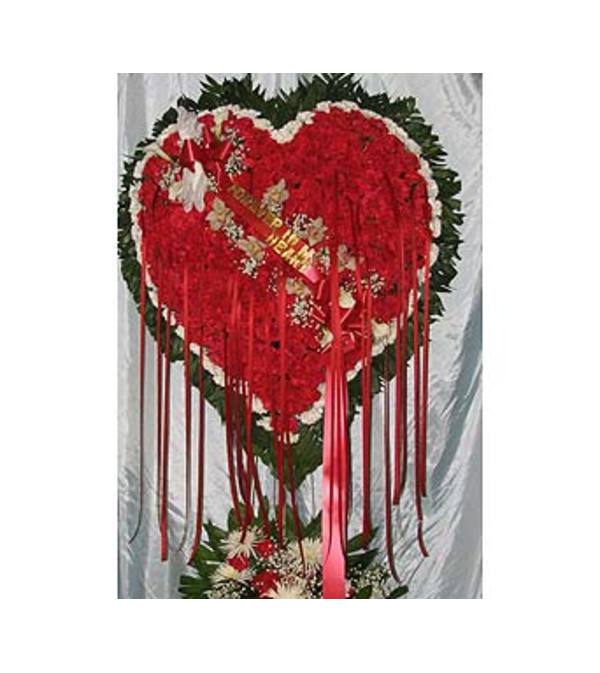 Bleeding Heart with White Carnation Border