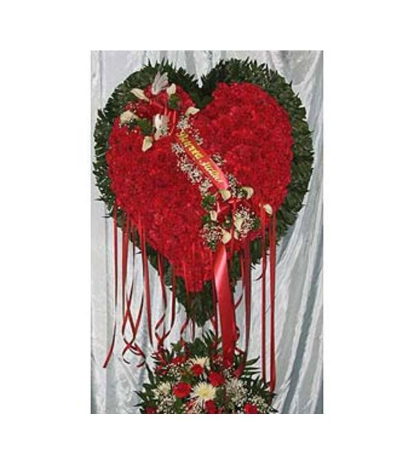 Bleeding Heart Red Carnations