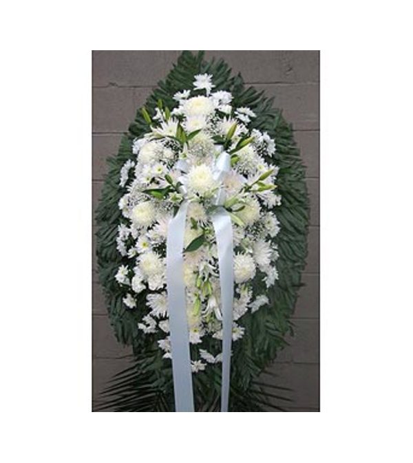 All White GF-SP1