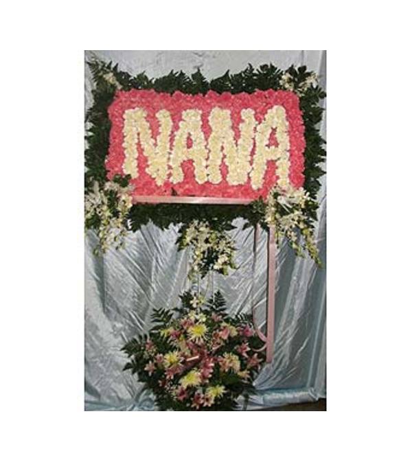 Nana GF-SW2