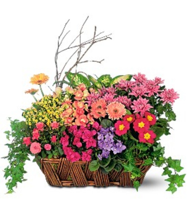 Bursting with Beauty Garden Basket