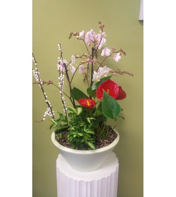 Large Orchid/Anthirium Planter
