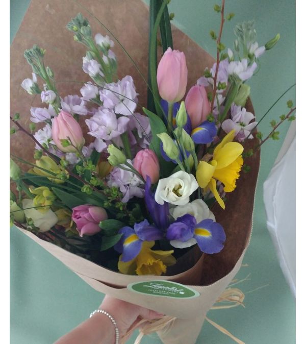Spring Blooms