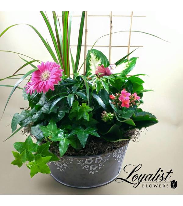 Blooming Planter