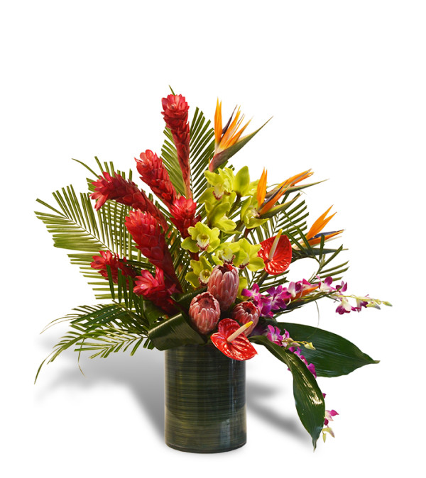 Tropical Spice