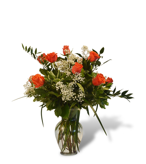 Premium Dozen Roses in Orange