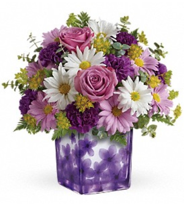 DANCING VIOLETS